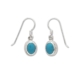 Sterling-Silver Turquoise Drop Earrings