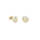 9ct Gold Fancy Two Colour Stud Earrings